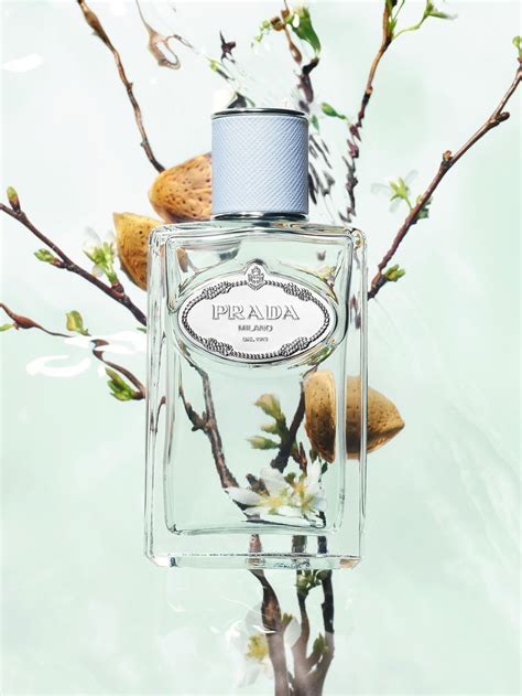 infusion d'amande prada|prada almond.